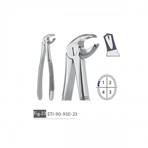 EXTRACTING FORCEPS