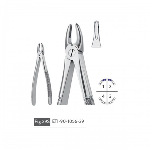 EXTRACTING FORCEPS