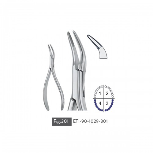 EXTRACTING FORCEPS