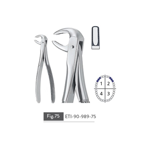 EXTRACTING FORCEPS
