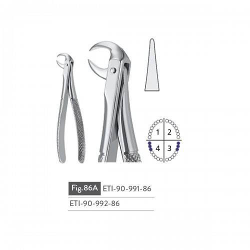 EXTRACTING FORCEPS