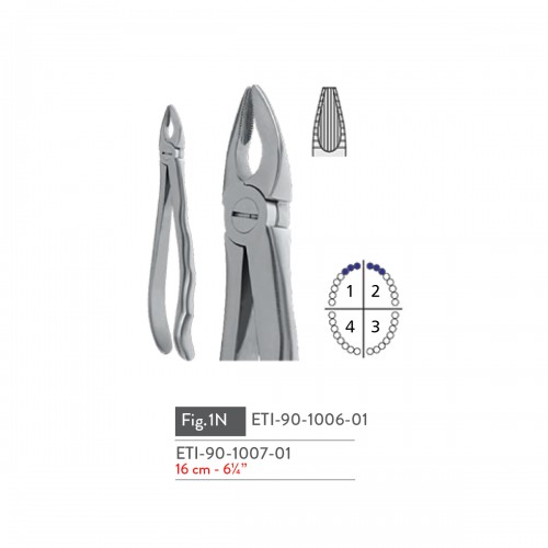 EXTRACTING FORCEPS