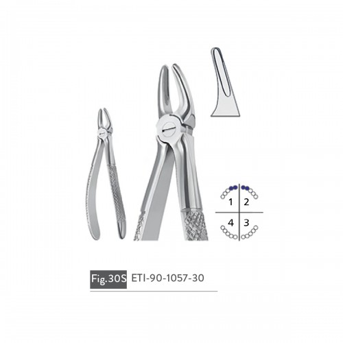 EXTRACTING FORCEPS